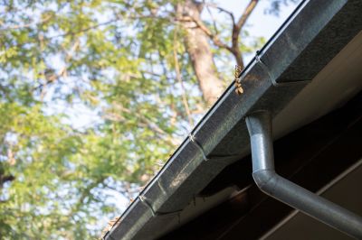 Commercial Gutter Inspection