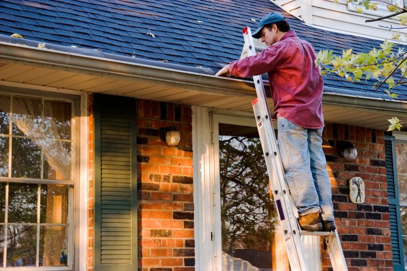 Roof Gutter Repair in Longmont, CO